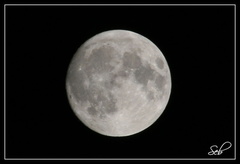 Lune à 300 mm