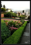 Lombard Street