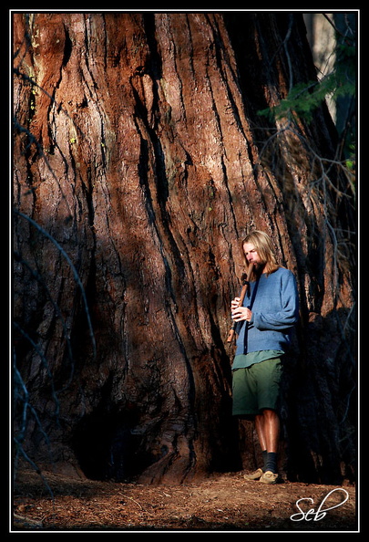 Ce joueur de flutte créé une ambiance de folie en se déplaçant au milieu des arbres au gré de ses envies. 20090410193459-4bcdb330.jpg