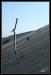 La dune du pyla