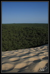 La dune du pyla