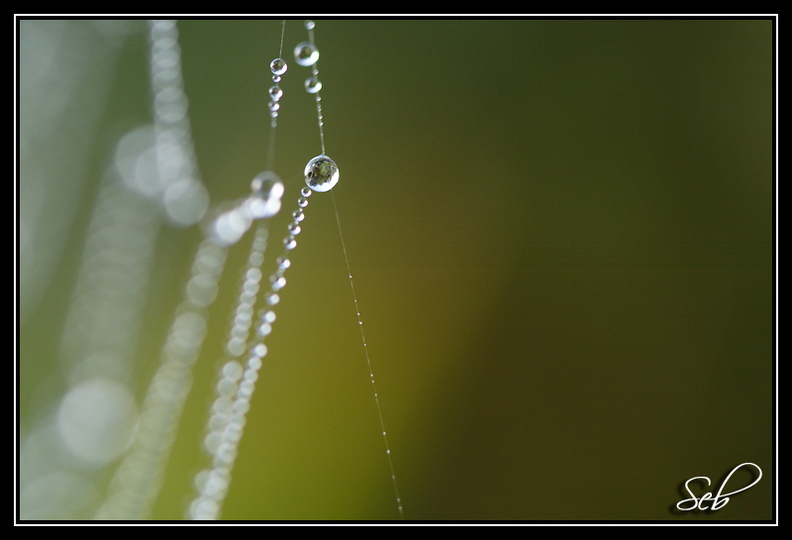 Boule de cristal