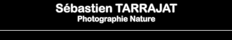 Sbastien TARRAJAT - Photographie Nature