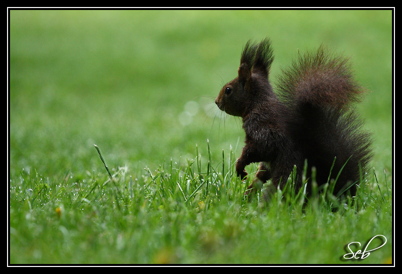 20090426222242-2c32d06e.jpg