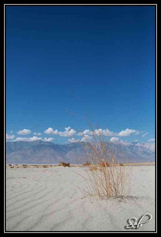 Arrivée dans la Death Valley