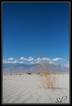 Arrivée dans la Death Valley